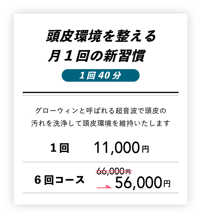 頭皮環境を整える月１回の新習慣 1回40分